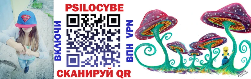 хочу наркоту  Отрадная  Галлюциногенные грибы MAGIC MUSHROOMS 