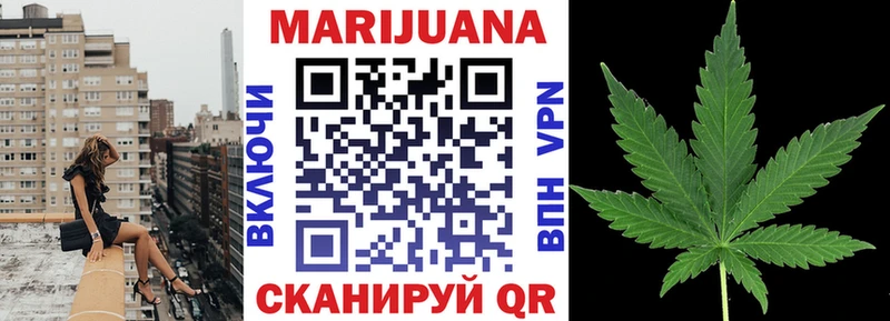 Конопля сатива  Отрадная 